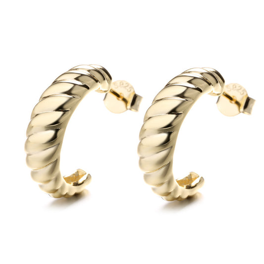 Bold Twisted Dome Hoop Earrings